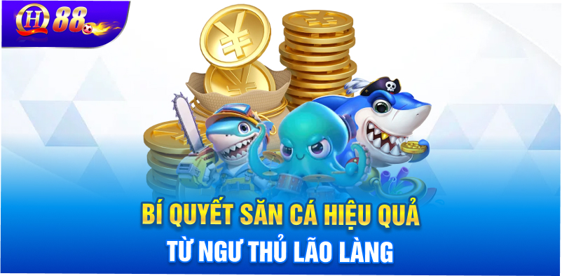 Bí quyết săn cá hiệu quả từ ngư thủ lão làng