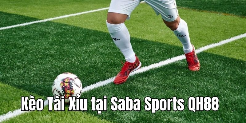 Giới thiệu kèo Tài Xỉu tại sảnh Saba Sports QH88