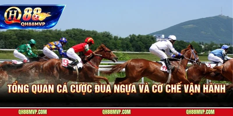 Cá cược đua ngựa gắn với tốc độ đua và chiều sâu phân tích chiến mã
